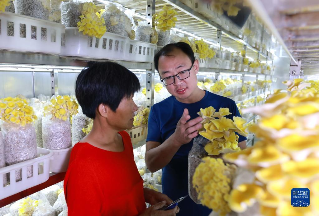 平博是什么